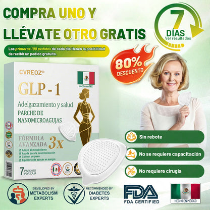 【Último día de promoción: 60% DE DESCUENTO🏅】CVREOZ® Parche NANO de microagujas NIDDK-Tirzepatide para Adelgazar y Salud(Sin dolor, liberación 24/7 | Pierde 9 kg RÁPIDO | Reducción del 90% en azúcar | )