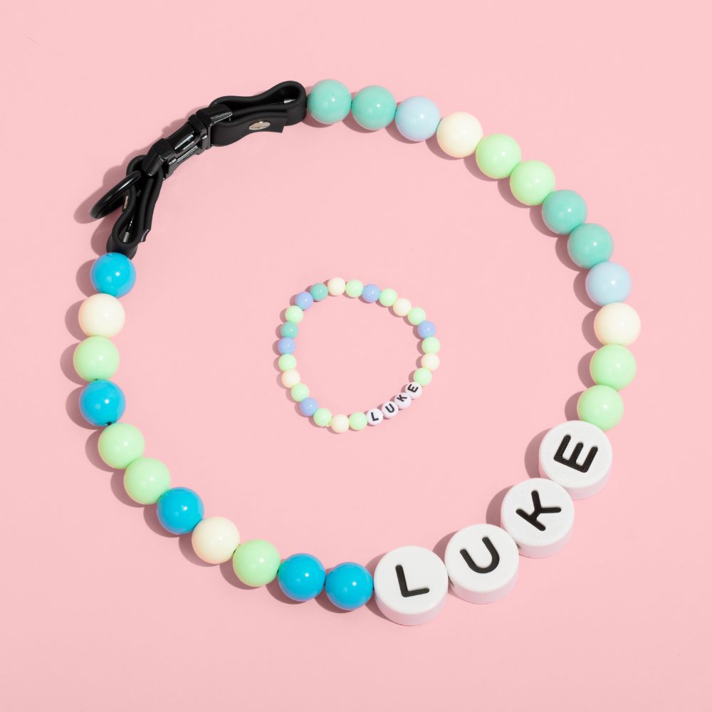 BFF Dog Collar + Free Matching Bracelet