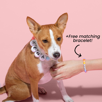 BFF Dog Collar + Free Matching Bracelet